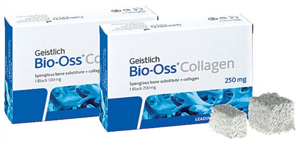 Bio-Oss Collagen