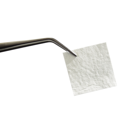 Evolution OsteoBiol®