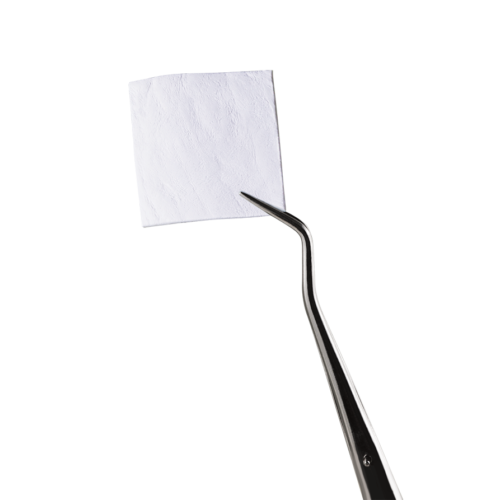 Evolution OsteoBiol®