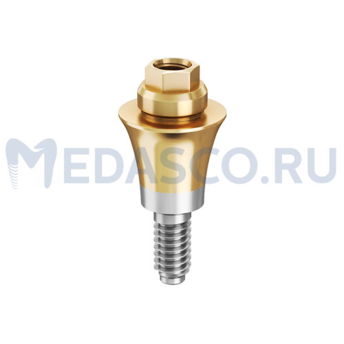 Multi-unit Megagen AnyRidge прямой