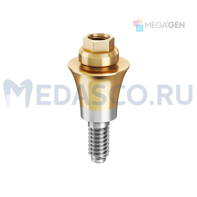 Muilti-Unit Megagen AnyRidge
