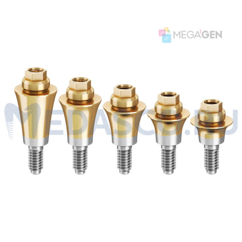 Multi-unit Megagen AnyRidge прямой