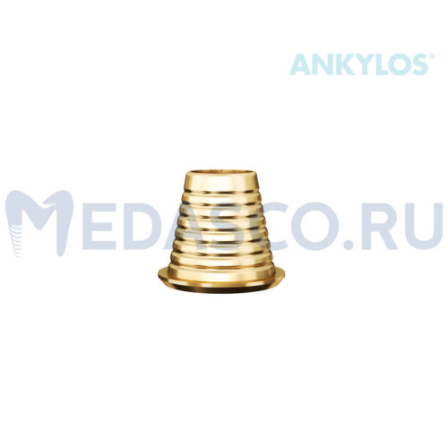 Ankylos Multiunit Ti-base