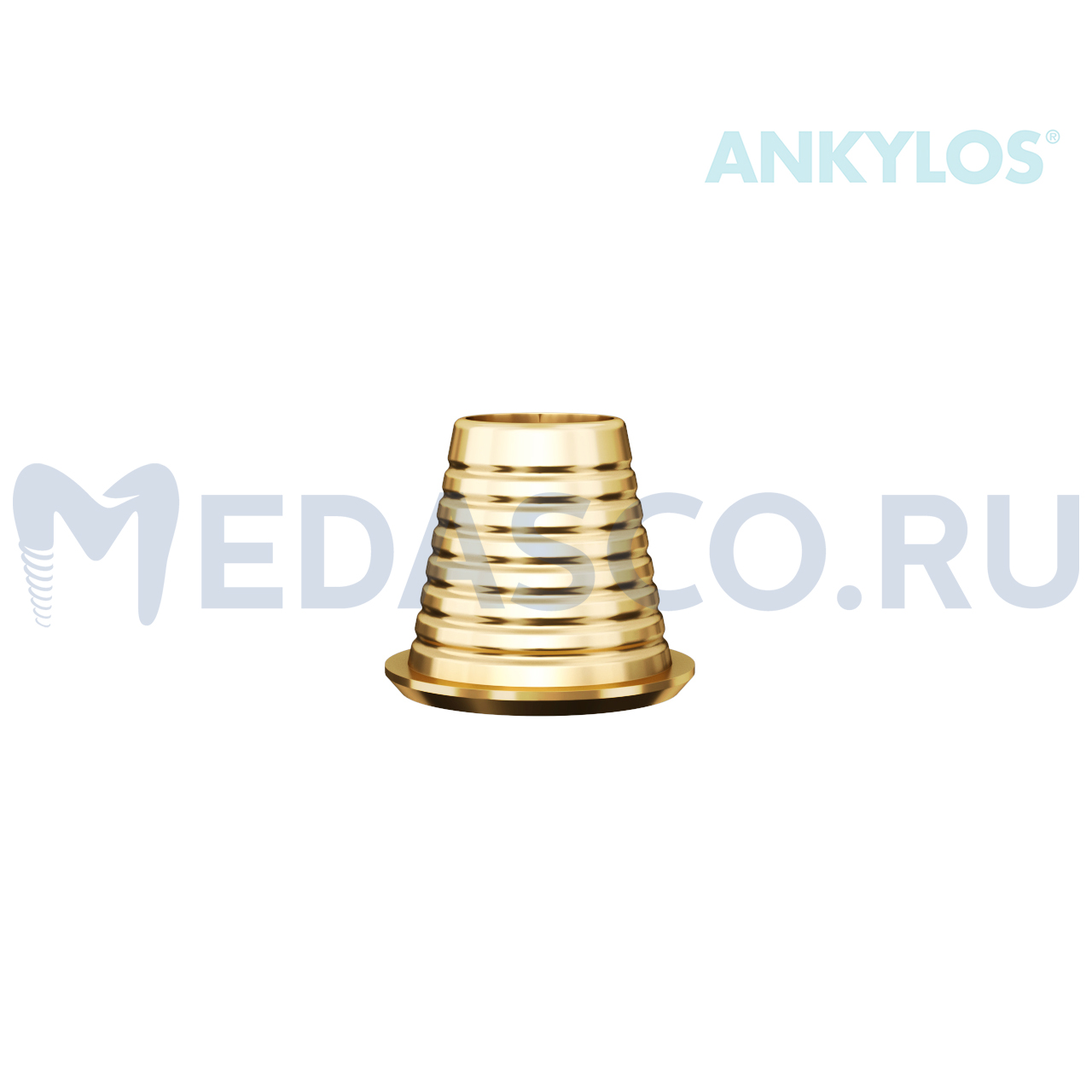 Ankylos Multiunit Ti-base