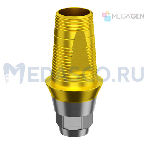 Megagen AnyOne