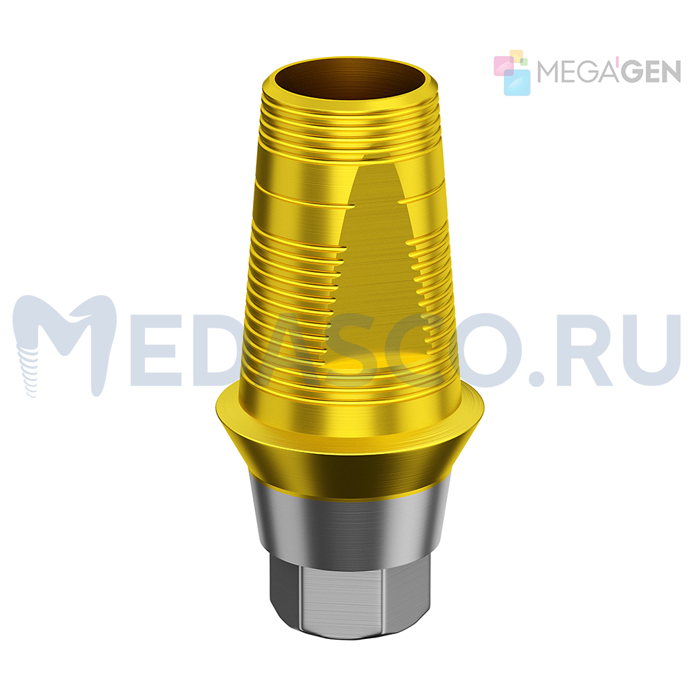 Megagen AnyRidge