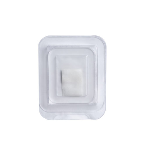 Regegraft Lamina - Regegraft Lamina 15x20 mm