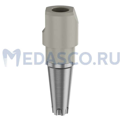 Dentsply Ankylos pre-milled - Сканбоди интраоральный Dentsply Ankylos