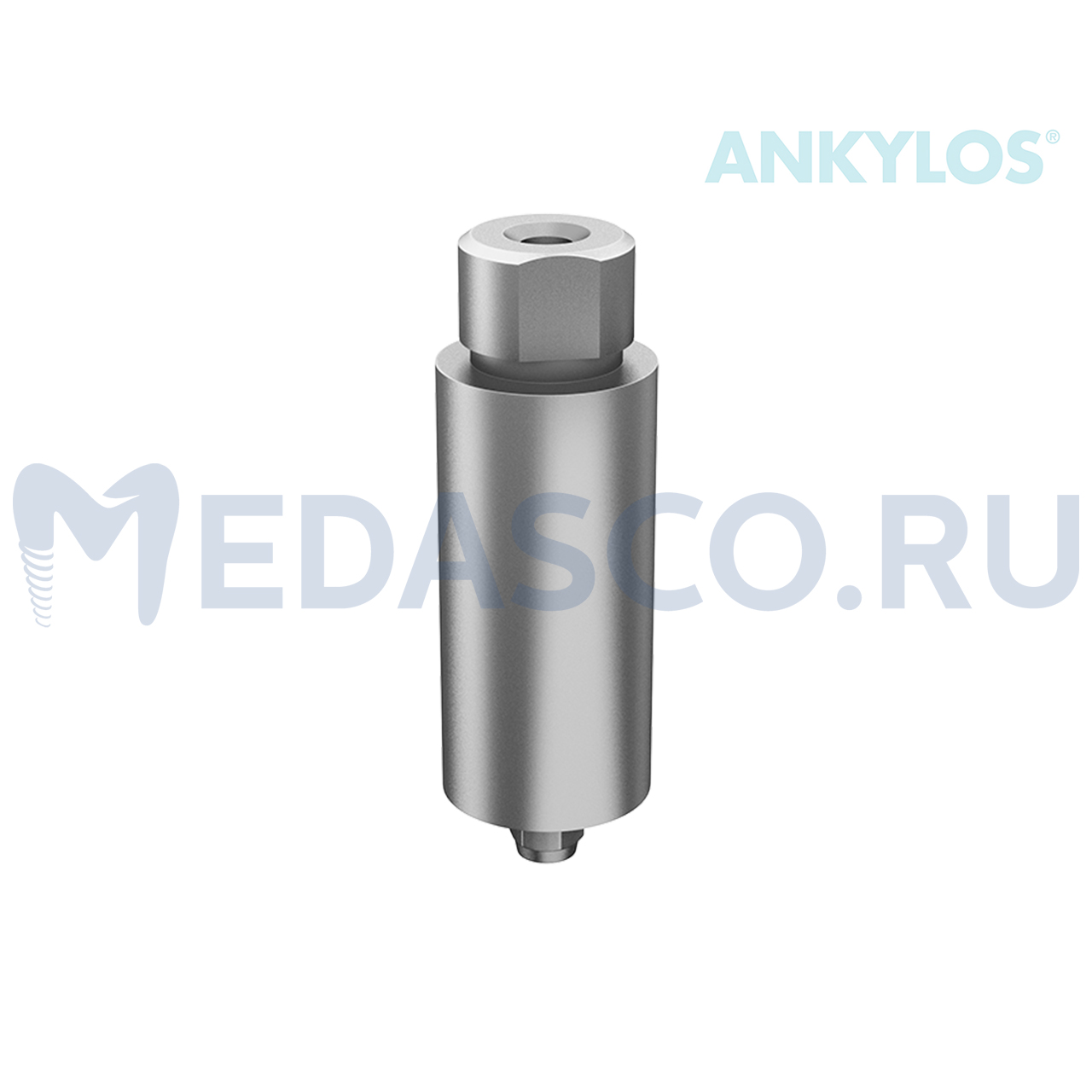 Dentsply Ankylos pre-milled