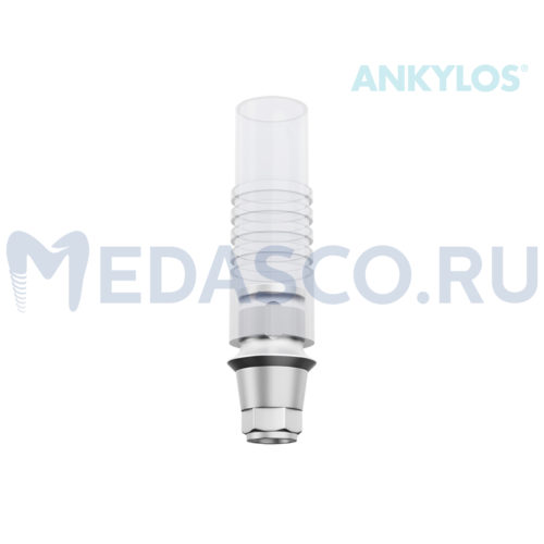 Приливаемый абатмент Dentply Ankylos