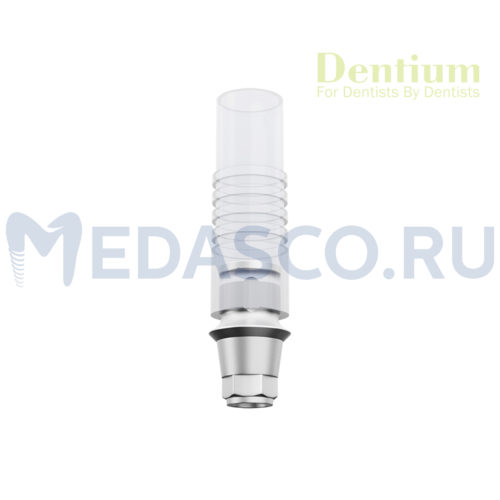 Приливаемый абатмент Dentium
