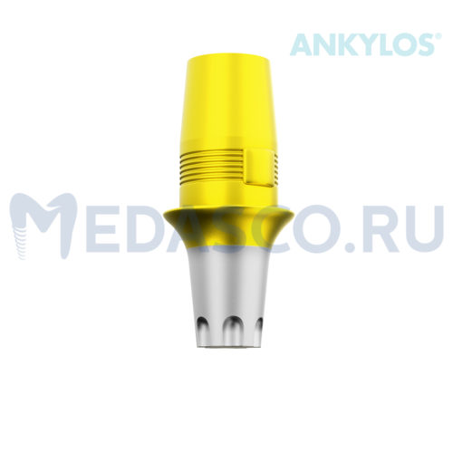 Dentsply Ankylos (Sirona)