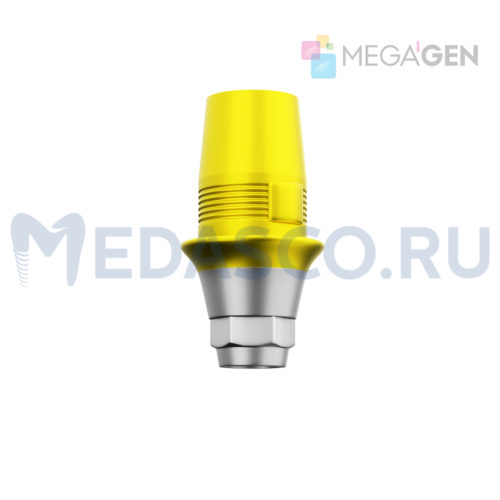 Megagen AnyOne (Sirona)