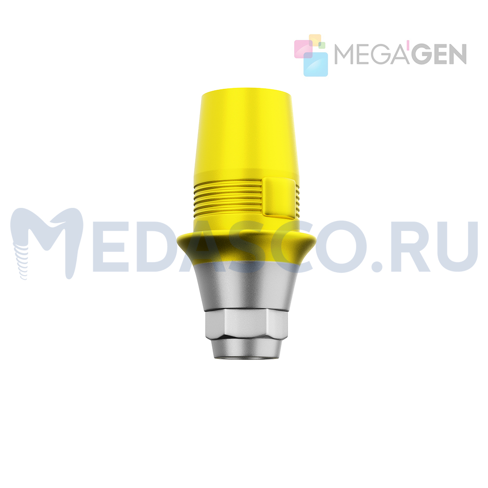Megagen AnyOne (Sirona)