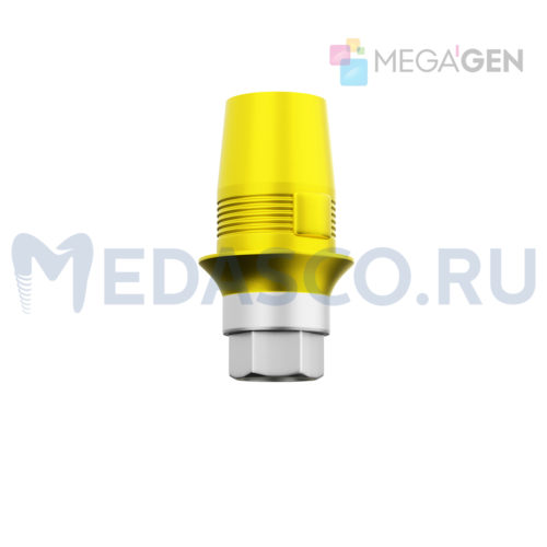 Megagen Anyridge (Sirona)